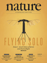 Flying&nbsp;solo