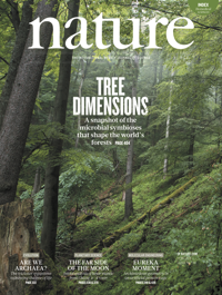 Tree&nbsp;dimensions