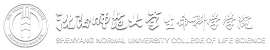 2026足球世界杯网站
